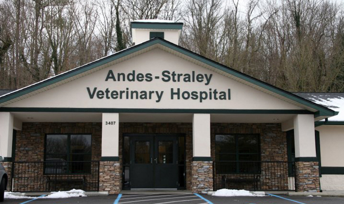 Andes Straley Veterinary Hospital In Kingsport Tn 1 