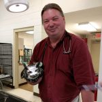 what to look for in a vet
