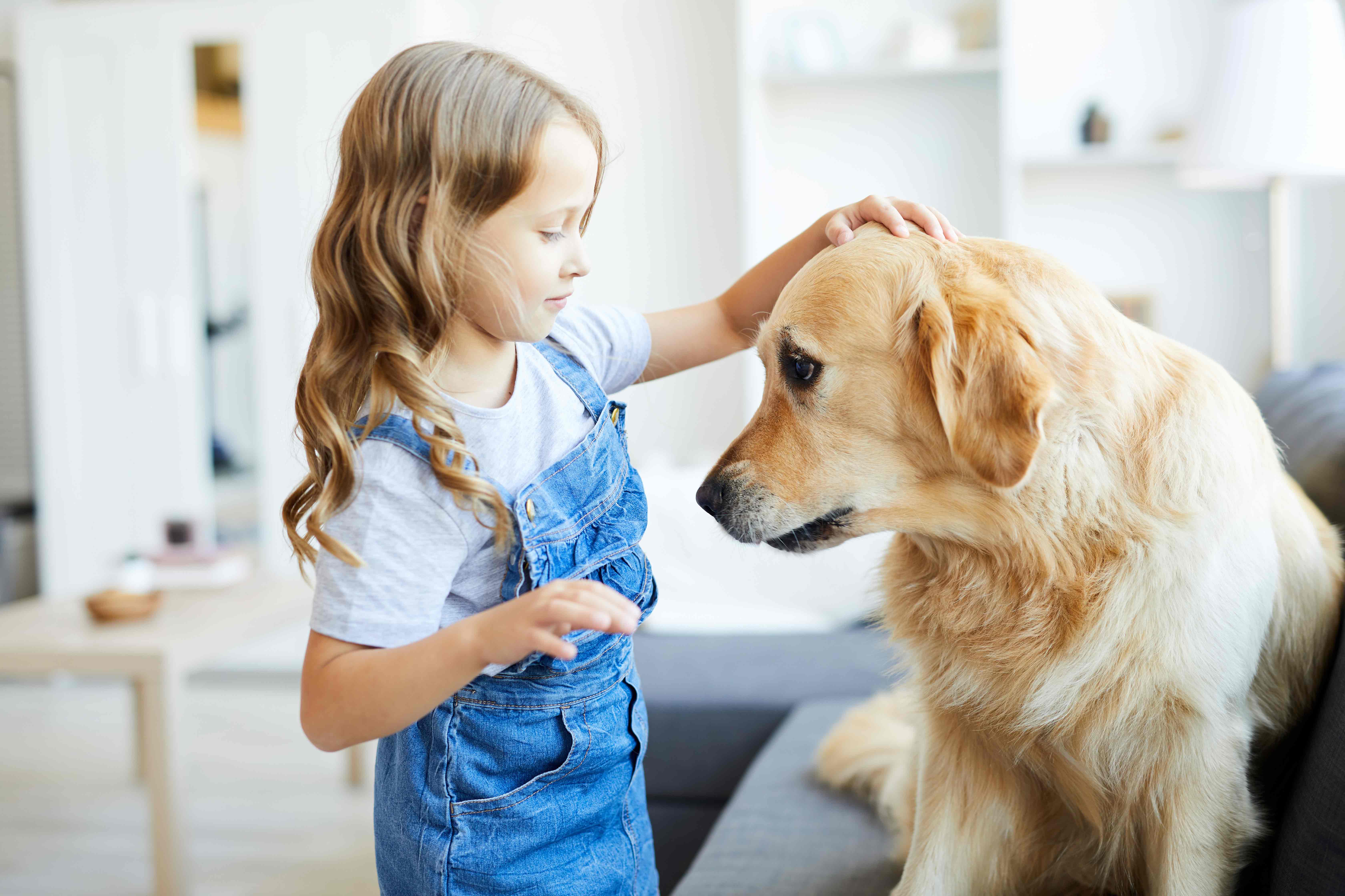Teach Kids to Safely Interact with Pets AndesStraley